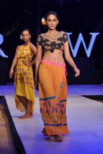 Model walk the ramp for Anupama Dayal Show at IRFW 2012 Day 1 in Goa on 28th Nov 2012 (95).JPG